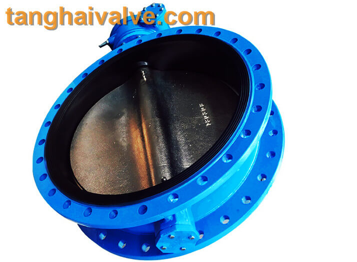 Double flange butterfly valve (17)