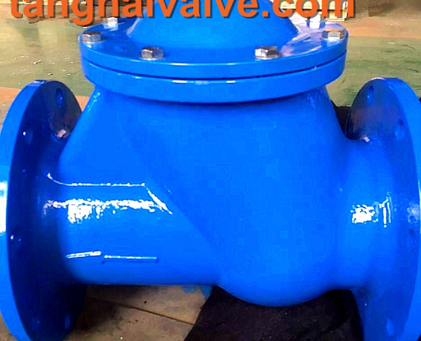 Ball Check Valve (TH-CKV-BA) - Professional Manufacturer